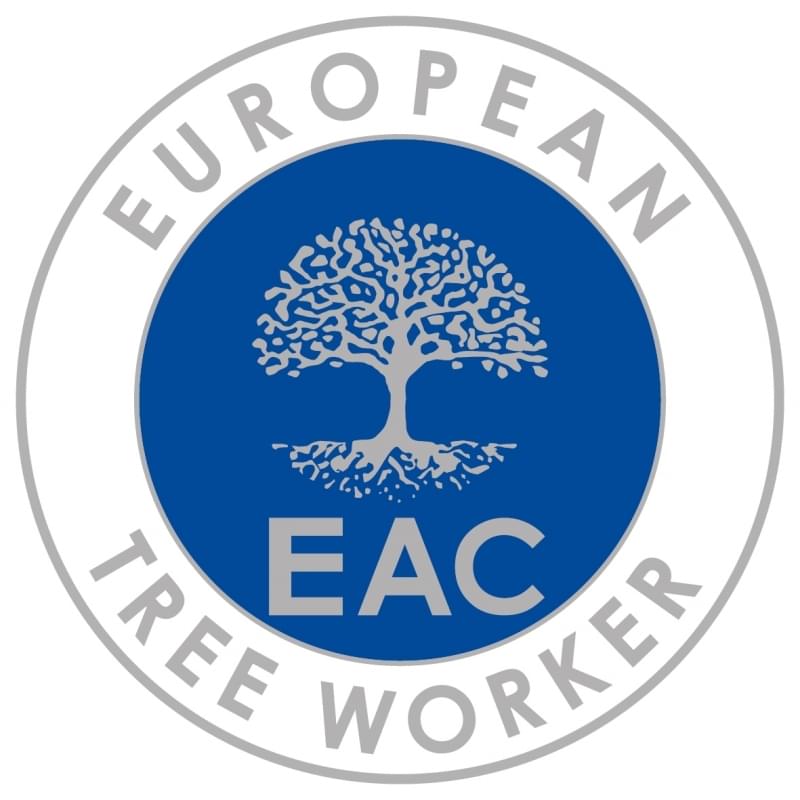 European tree worker in Neuss