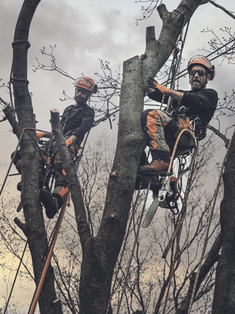 Baumpflege Team Neuss Über Uns
